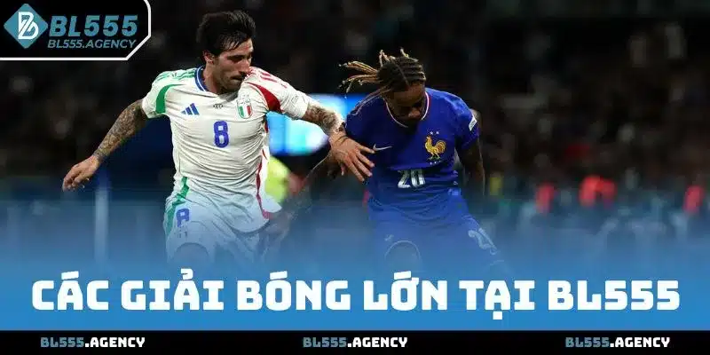 Các giải bóng lớn tại BL555