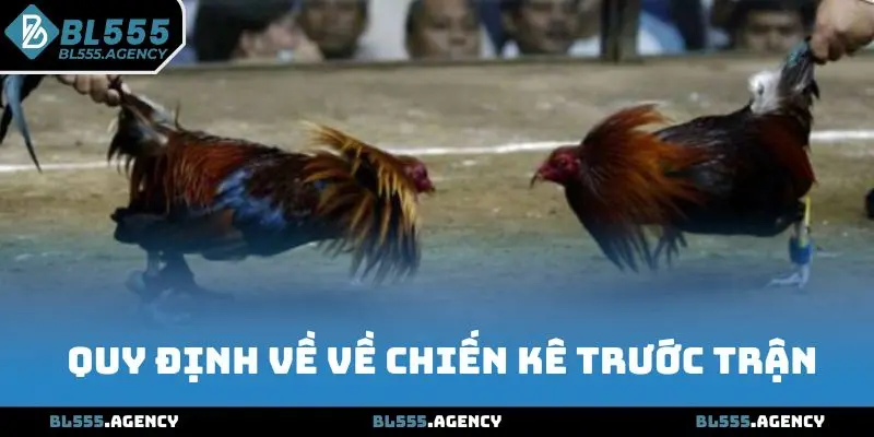 Quy định về về chiến kê trước trận