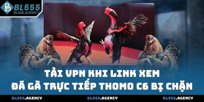 Tải VPN khi link xem đá gà trực tiếp Thomo C6 bị chặn
